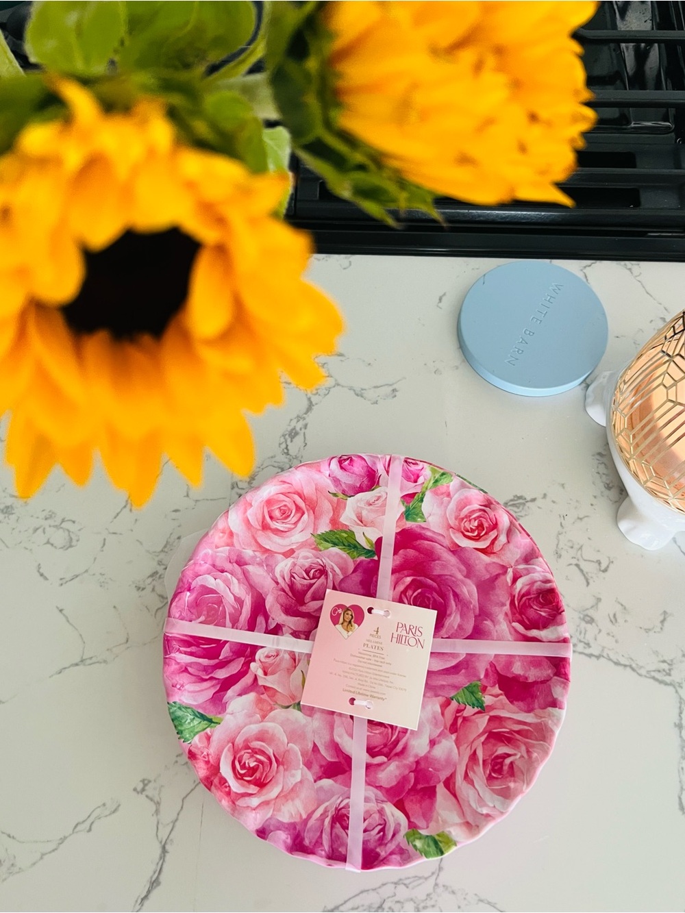 NWT Paris Hilton Rose Floral Melamine Plate Set